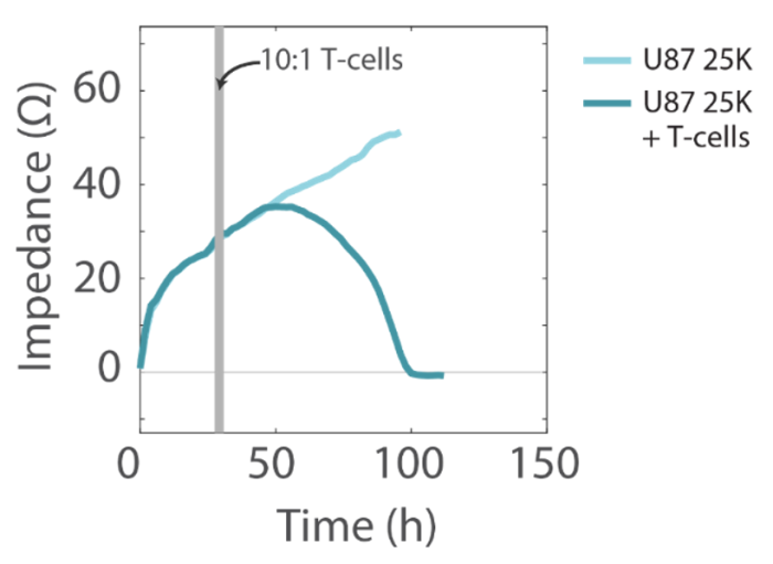 T Cell-Mediated Cytolysis of Glioblastoma using Maestro Z Real